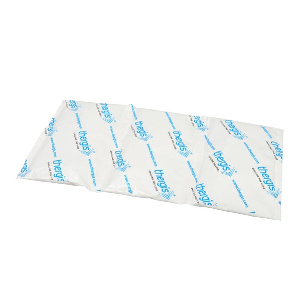Thergis 800g gel packs for food and perishable goods