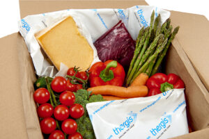 Temperature controlled gel packs for food shipping and delivery